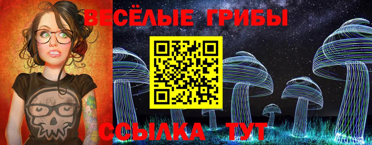 Хасавюрт  наркотики  Вход с VPN  Галлюциногенные грибы мицелий 