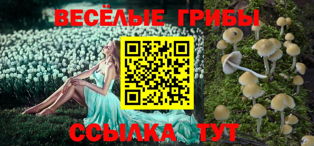 МАРИХУАНА  Хасавюрт  Вход с VPN  Cocaine  ГАШ  Амфетамин кристаллы  Мефедрон кристаллы  ГАШИШ 